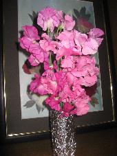 img_7507.jpg