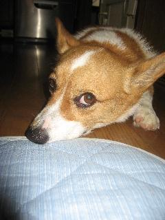 img_0663.jpg