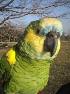 img20060221.jpg