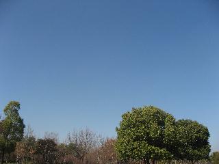 img_6040.jpg