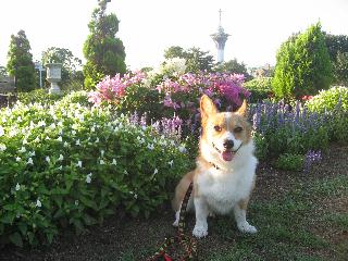 img_0278.jpg