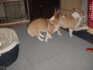 Dsc00031.jpg