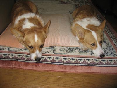 img_4869.jpg