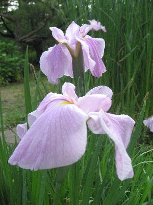 img_8984.jpg