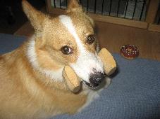 img_9613.jpg