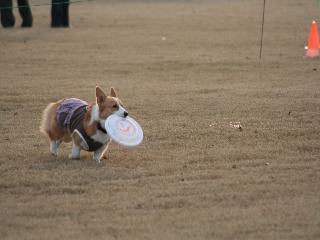 img_6370.jpg