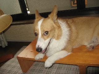 img_0661.jpg