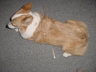 Dsc00003.jpg