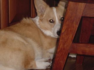 img20060328_2.jpg