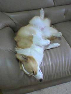 img20060330_2.jpg