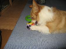 img_9620.jpg