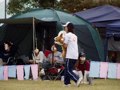 pa290005.jpg
