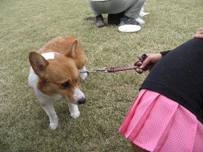 img_3872_1.jpg