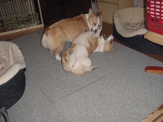 Dsc00034.jpg