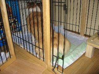 img_8973.jpg