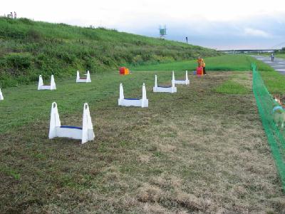 img_2146.jpg