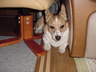 img20060328.jpg