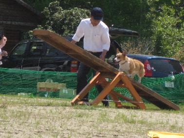 img_8152.jpg