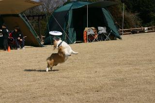 img20060131_1.jpg