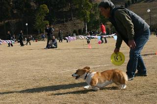 img20060131.jpg