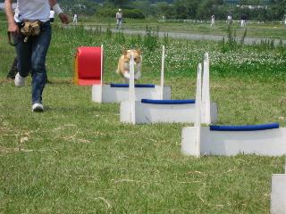 img20060529_3.jpg