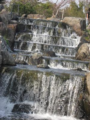 img_7496.jpg