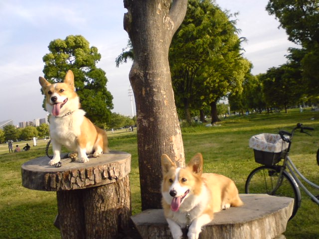 20070430.jpg