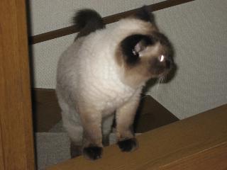 img_2545.jpg