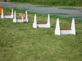 img20060529.jpg
