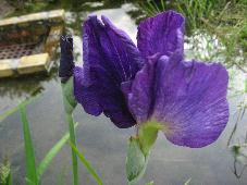 img_8980.jpg
