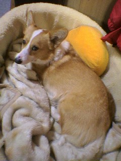 060128_1745%7E01.jpg