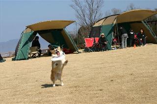img20060131_3.jpg