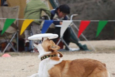 img20080224.gif
