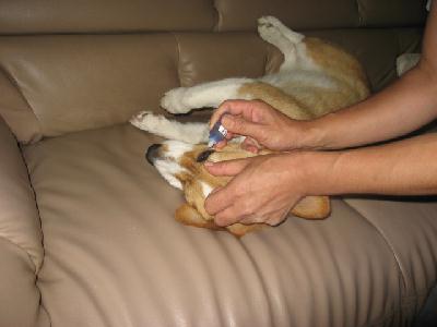 img_2145.jpg