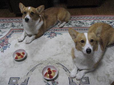 img20061227.jpg