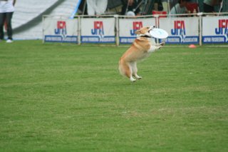 img20060627_3.jpg