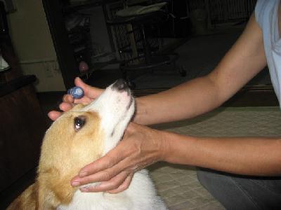img_2143.jpg