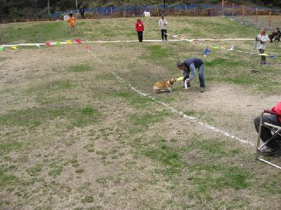 img20060430_1.jpg