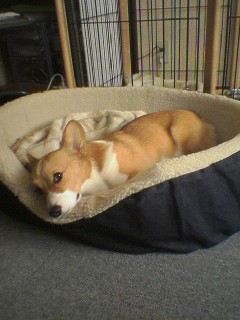 img20060427.jpg