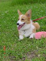 img20060825.jpg