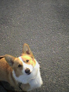 img20060221_2.jpg
