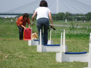 img20060529_2.jpg