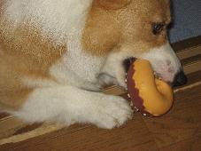 img_9627.jpg