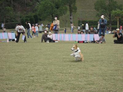 img_3847.jpg