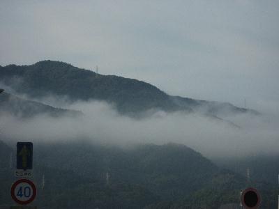 img_3842.jpg