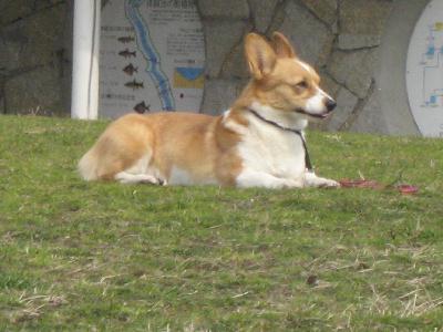 img_6564.jpg