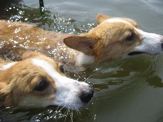 img20070826_2.jpg