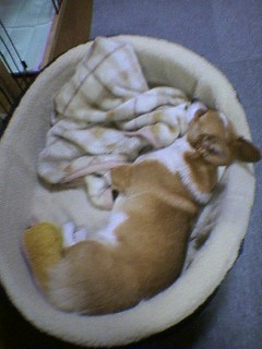 060128_1744%7E01.jpg