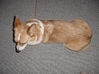 Dsc00007.jpg