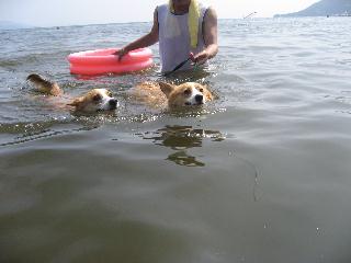 img20070826.jpg